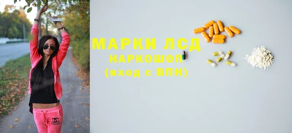 прущие грибы Балахна
