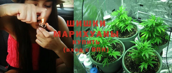 прущие грибы Балахна