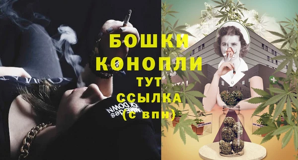 прущие грибы Балахна